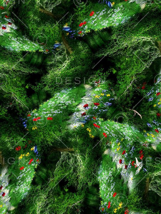 森林印花华亿平台图片