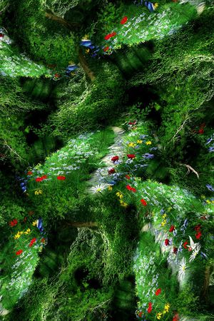 森林印花华亿平台图片