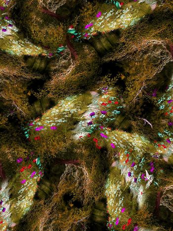 151656-wl4-0380F配色1