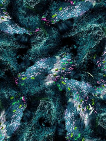 151660-wl4-0380F配色4