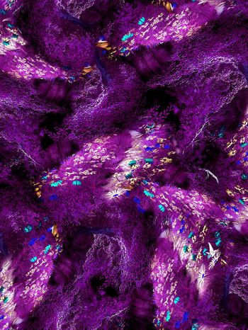 151663-wl4-0380F配色5