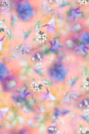 大牌风印花华亿平台图片