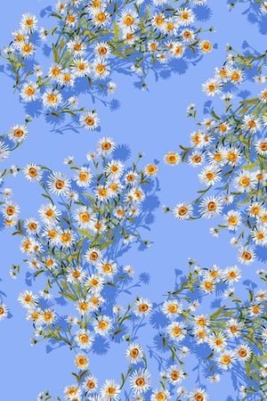 大牌风印花华亿平台图片