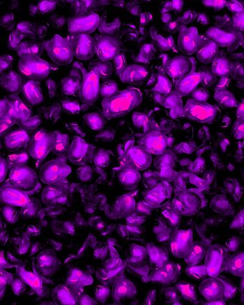 151714-wl4-0388F配色2