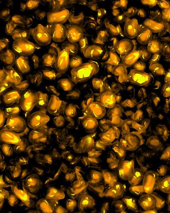 151715-wl4-0388F配色3