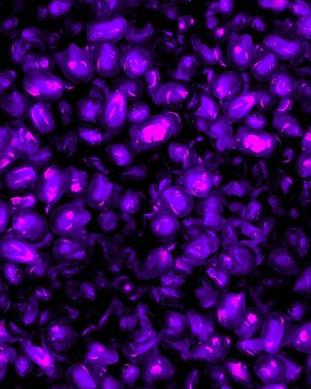 151716-wl4-0388F配色4