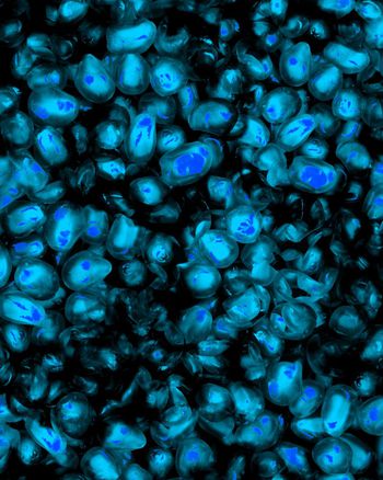 151717-wl4-0388F配色5