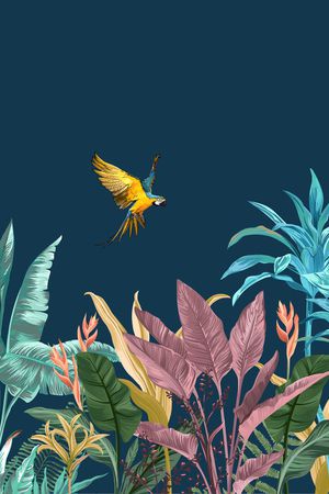 鹦鹉印花华亿平台图片