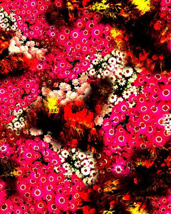 151742-wl5-0392F副本