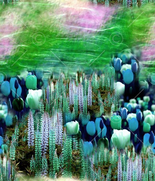 摄影照片印花华亿平台图片