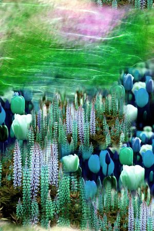 摄影照片印花华亿平台图片