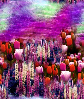 151754-wl5-0395F配色3