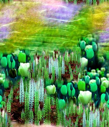 151755-wl5-0395F配色4