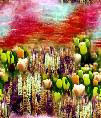 151756-wl5-0395F配色5