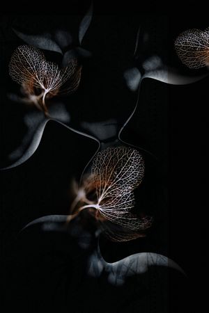 定位花印花华亿平台图片