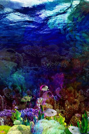 热带海底印花华亿平台图片