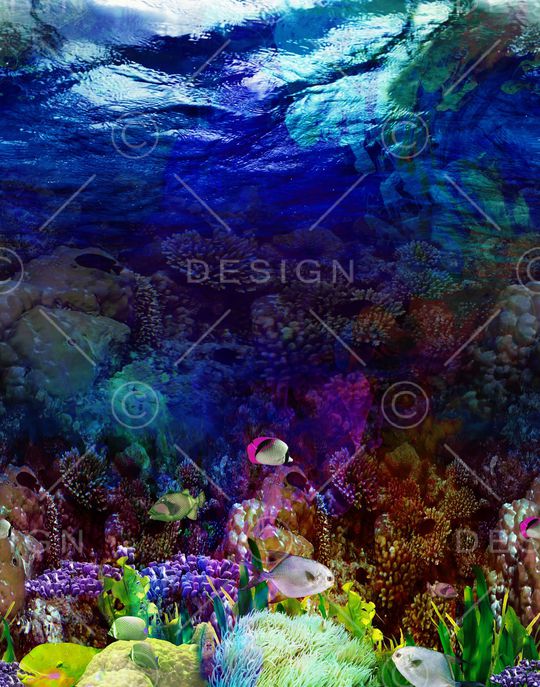 热带海底印花华亿平台图片
