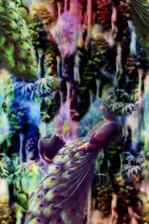 孔雀印花华亿平台图片