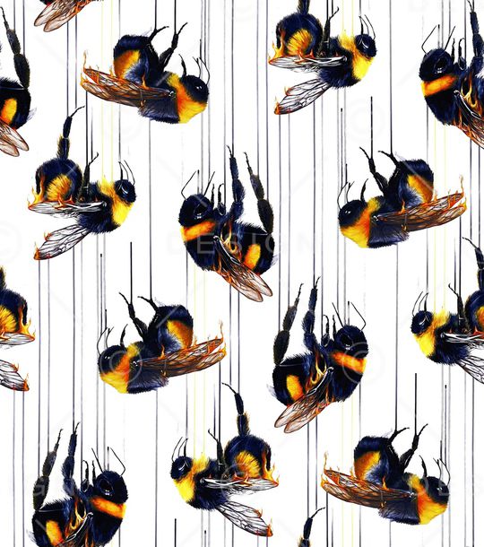 蜜蜂印花华亿平台图片