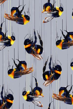 蜜蜂印花华亿平台图片