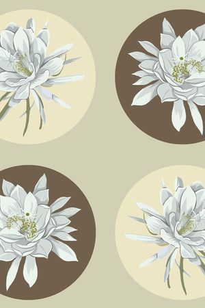 简约印花华亿平台图片