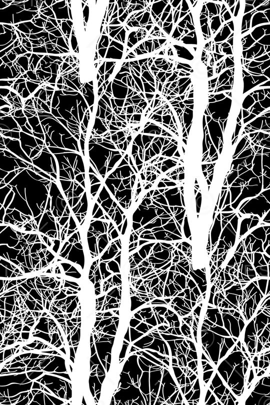 时尚印花华亿平台图片