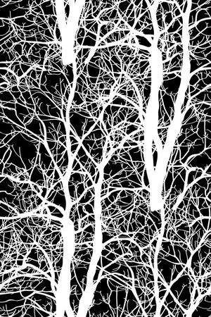 时尚印花华亿平台图片