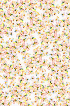 田园印花华亿平台图片