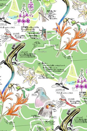 地图印花华亿平台图片