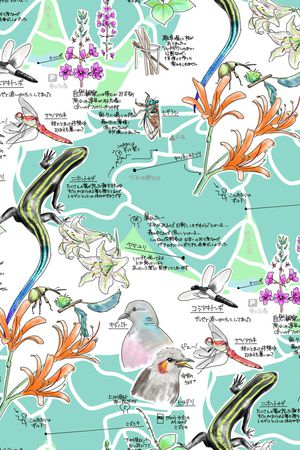 地图印花华亿平台图片