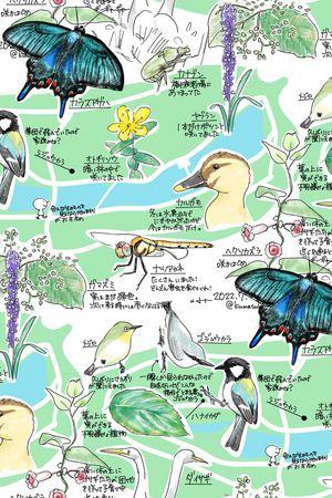 地图印花华亿平台图片