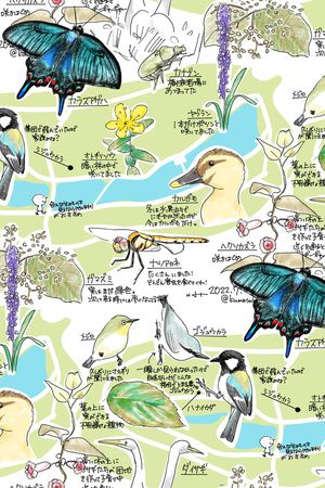 地图印花华亿平台图片