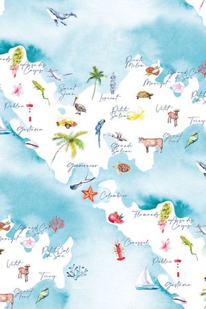 地图印花华亿平台图片