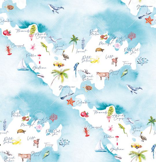 地图印花华亿平台图片