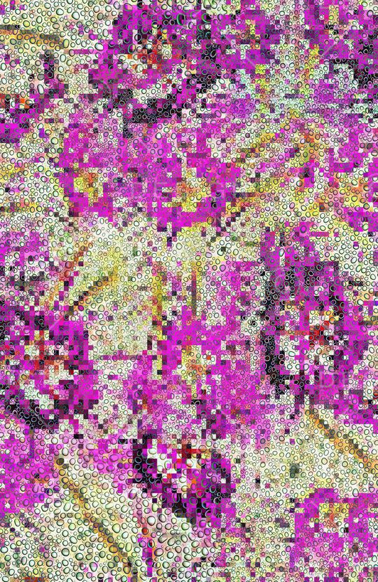 花朵印花华亿平台图片