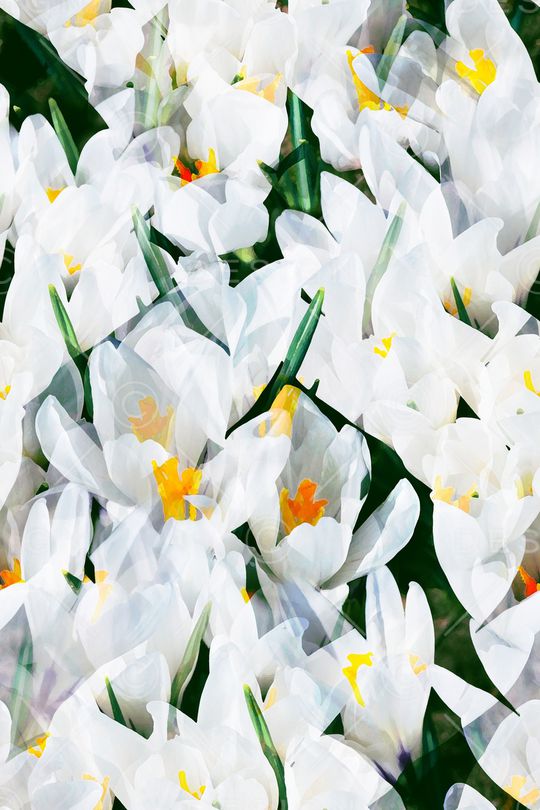 抽象花卉印花华亿平台图片