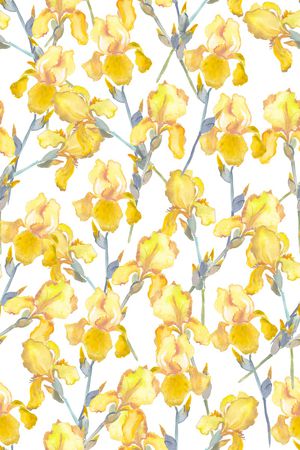 女装印花华亿平台图片