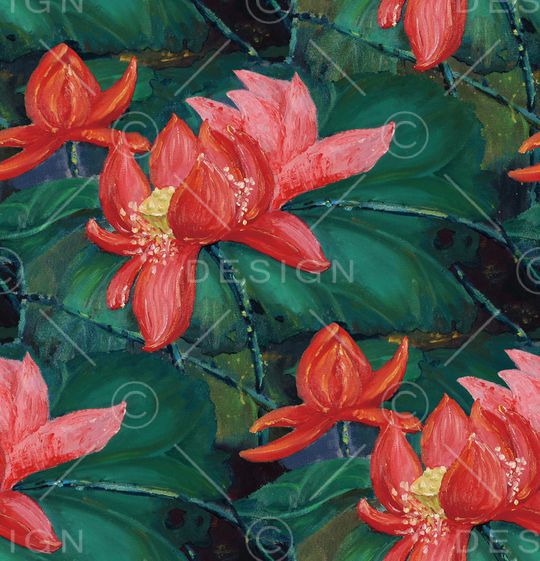 荷花印花华亿平台图片