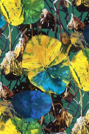 荷花印花华亿平台图片