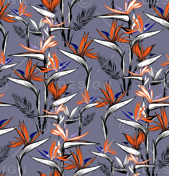 天堂鸟印花华亿平台图片