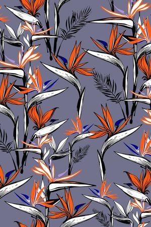 天堂鸟印花华亿平台图片