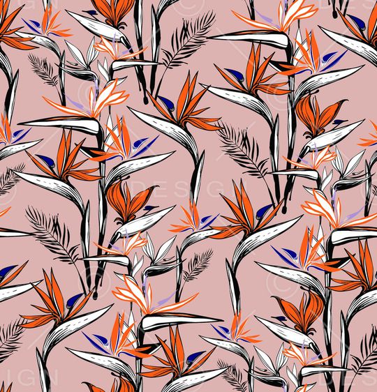 天堂鸟印花华亿平台图片