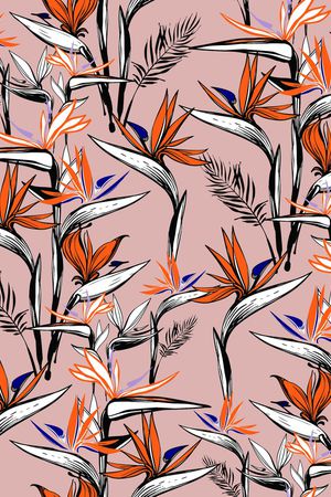 天堂鸟印花华亿平台图片