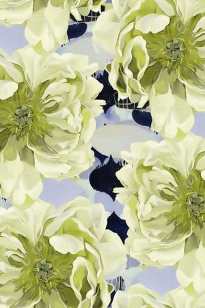 牡丹印花华亿平台图片