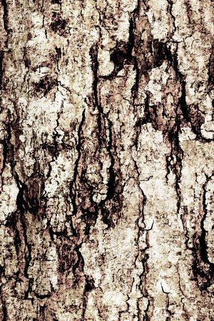 肌理印花华亿平台图片