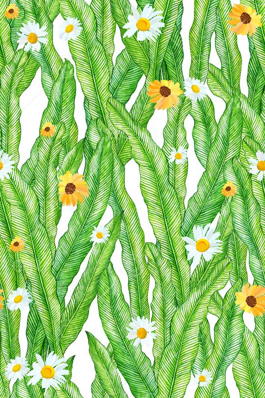 水草印花华亿平台图片