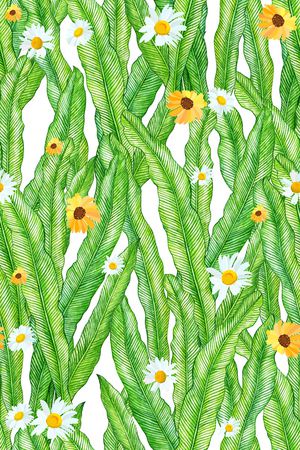 水草印花华亿平台图片