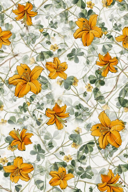 年轻女性印花华亿平台图片