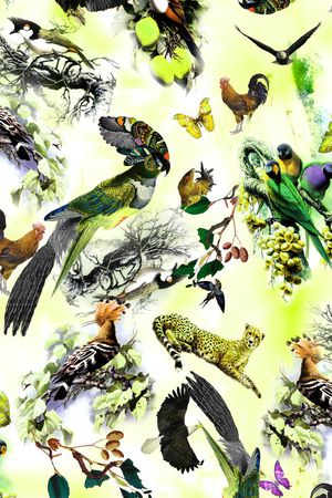 动物印花华亿平台图片