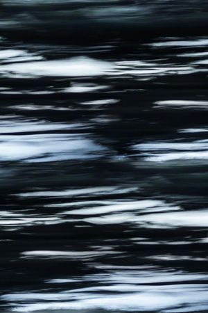 黑底花卉印花华亿平台图片